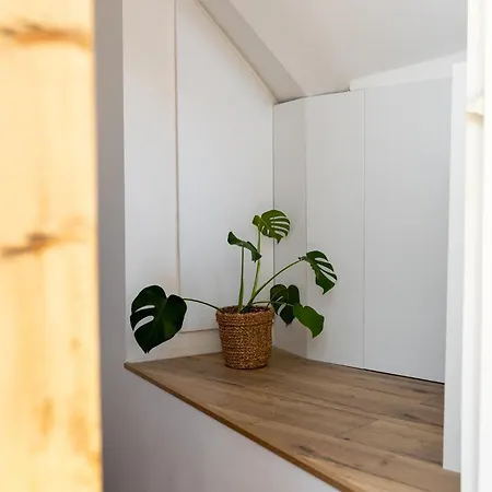 Lejlighed Bright Loft With Terrace In Nivy Bratislava