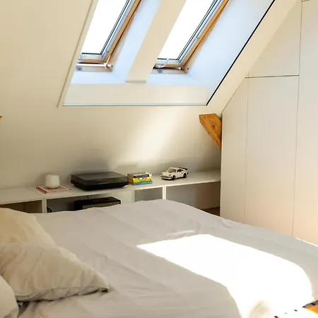 Bright Loft With Terrace In Nivy アパート *