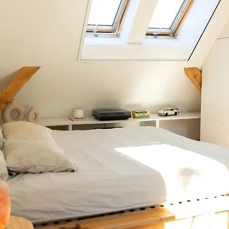 Bright Loft With Terrace In Nivy * Bratislava